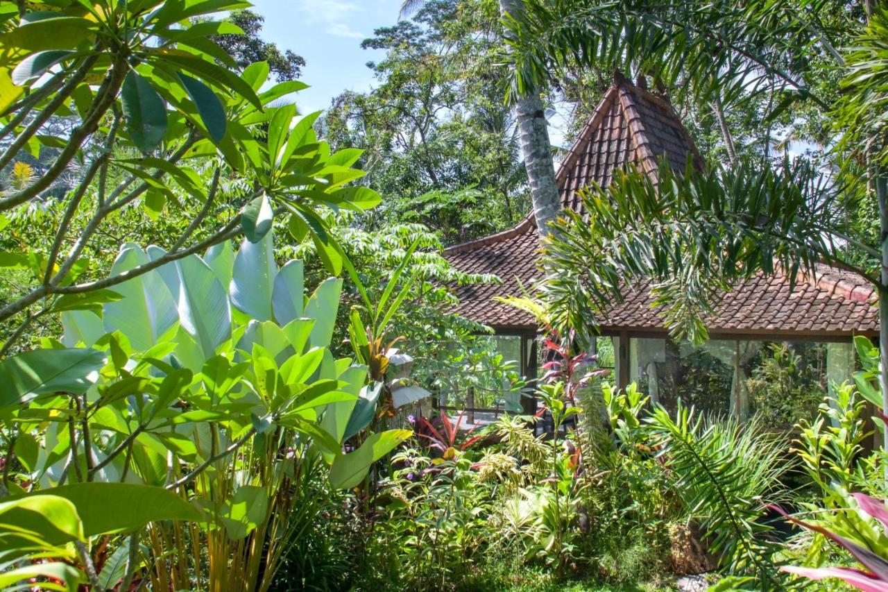 אובוד Villa Mahadevi Jungle Retreat Joglo 1 מראה חיצוני תמונה